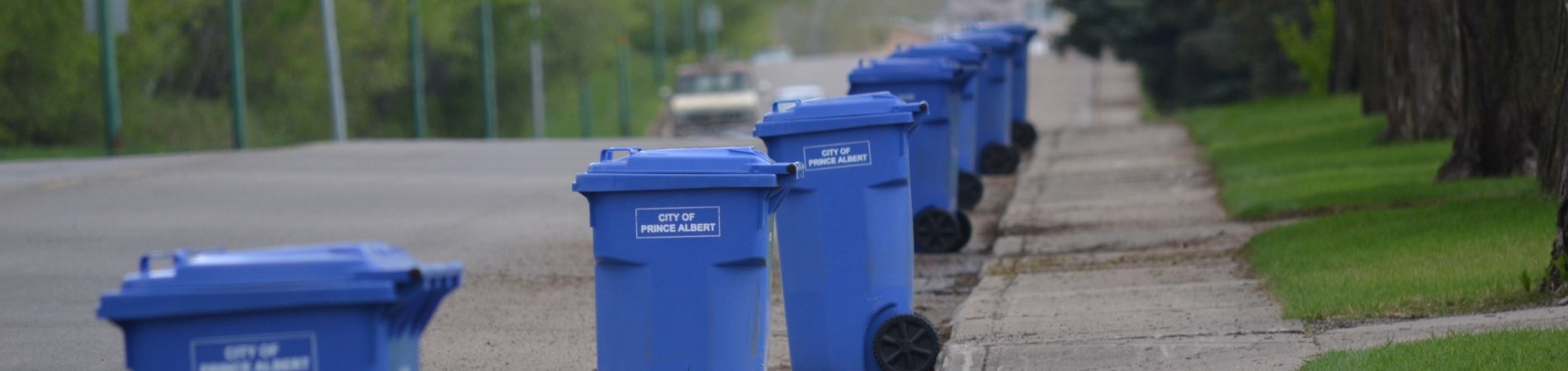 Recycling bins placed for collection